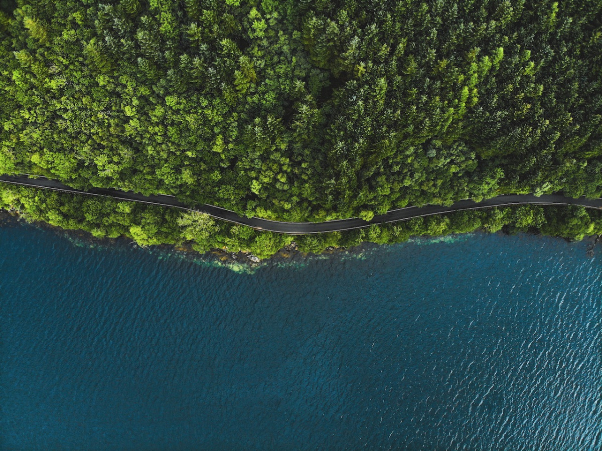 Rainforest-road  