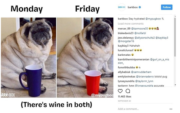 Barkbox-meme content marketing ideas Content Marketing  