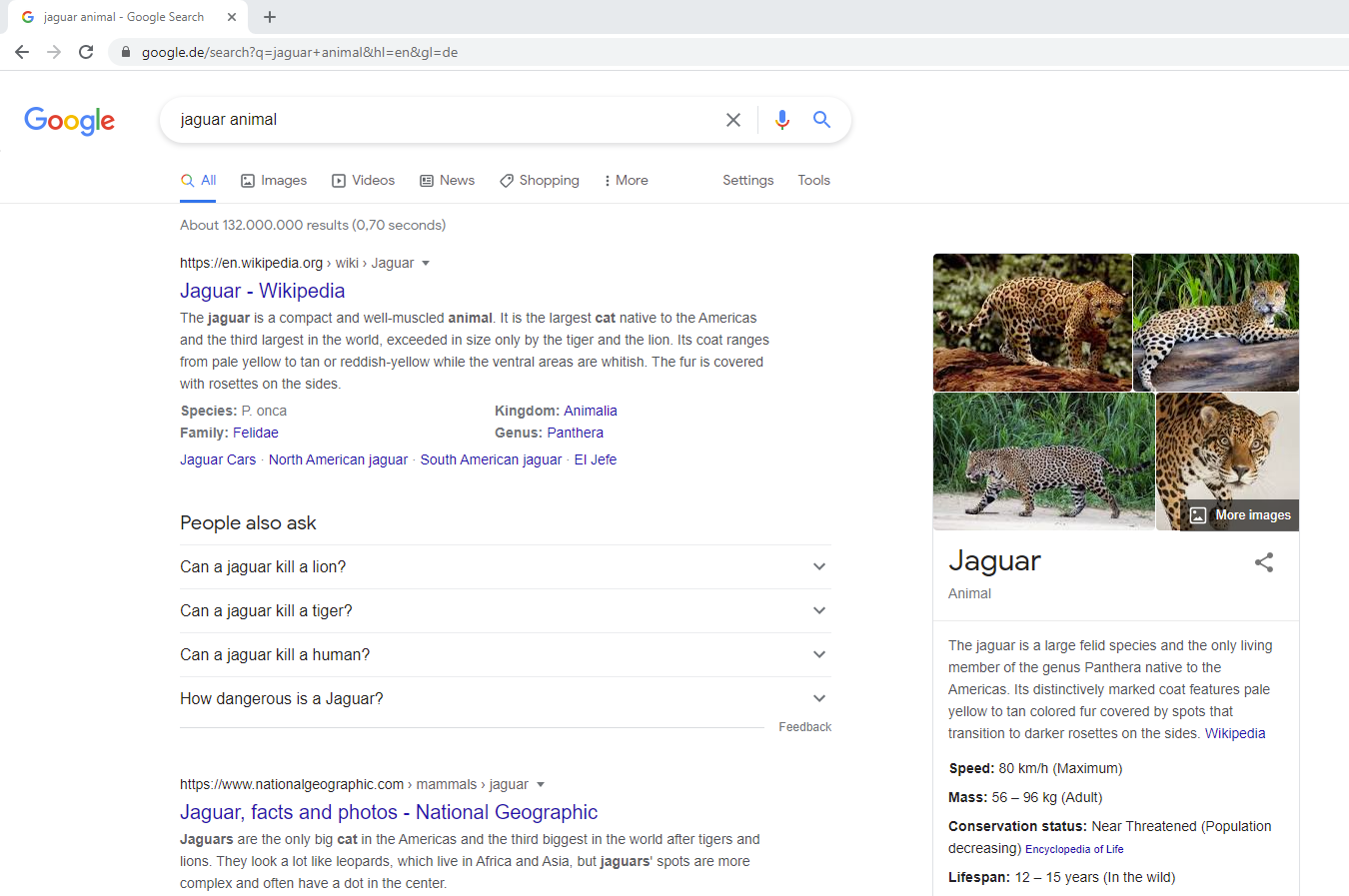 Figure-3-Search-Results-and-Knowledge-Panel-of-the-Animal-Jaguar  